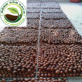 [HCM][ GIÁ SỈ ] Hạt mắc ca Tây Nguyên( 1 Kg) - Hạt mắc ca nhà trồng - Hạt macca Nứt vỏ. 
