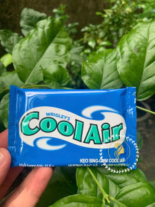 Kẹo Cao Su Singgum Cool Air Vỉ 11.6g – Lốc 12 Vỉ Thơm Miệng Sảng Khoái Lâu