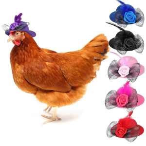 Funny Small Hat Tiny Hat with Delicate Bowknot and Feather for Poultry Animal Costume Photo Props Beautiful Hat