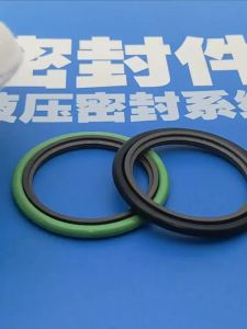 แหวนซีลก้านลูกสูบสเตฟานสำหรับเพลา STd 110 115 118*125.1 130.1 133.1* 6.3