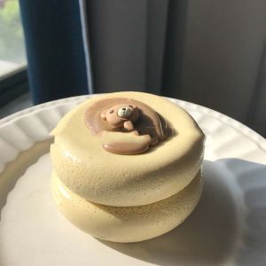 CHIC HUT Chocolate Cheese Soufflé Squeeze Toy Squishy Fingertip Cute Cake Slow Rebound Toy Squishy Simulation Design Cake Chocolate Squeeze Toy Kid Gifts
