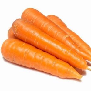 Replika Buah wortel  ( 1 set 1pcs ) / sayuran wortel / Vegetarian  / Mainan anak / Edukasi anak / Dekorasi meja makan / Display Restaurant Hotel Dan lain lain