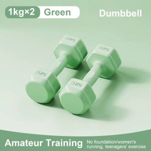 [SG] VIVA Dumbbell  1kg/2kg/3kg Girl Dumbbell Dumbell Gym Dumbbell Exercise Fitness Exercise Home Weight Training