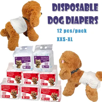 Diapers for miniature dachshunds best sale