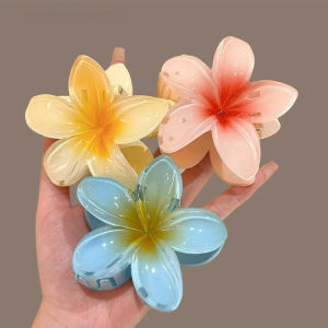 Kẹp Tóc Hoa Sứ ELUY Hot Xu Hướng Mới Màu Thạch Pastel Không Đau Tóc - Phụ Kiện Tóc Cho Nữ Con Gái Bé Gái Kẹp Sứ Hot Trend Đa Dạng Màu Sắc Shop Giao Màu Ngẫu Nhiên Sang Trọng Dễ Thương Điểm Nhấn Phong Cách Hàn Quốc (Mã TG056)