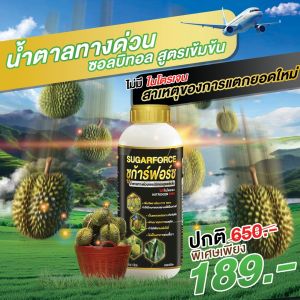 ซูก้าฟอส น้ำตาลทางด่วน ช่วยให้พืชดูดซึม สารอาหารได้ทันที ลดการหลุดร่วงของดอกและผล ไม่เกิดเชื้อรา 1L
