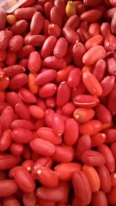 kulit Tangkil/melinjo Mateng asli kulit super seger kulit pilihan