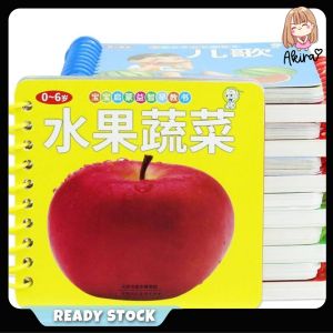 Letter Pinyin Literacy book and Child Early Education Hard Cover Learning Book儿童启蒙益智认知识字卡片书本