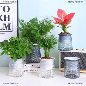 [COD] Home Fashion Double-layer Self Watering Plant Pot Transparent Plastic Flower Vase Automatic Lazy Potted Flower Pot Hydroponic Flowerpot Decor