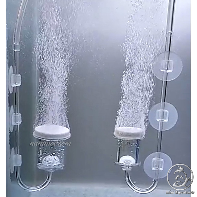 Cốc Sủi Oxy Acrylic Trong Suốt - Siêu Mịn | Đầu Sủi Tạo Oxy Cho Hồ Cá ...