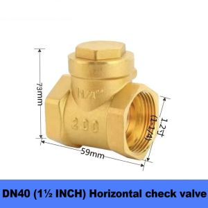 Premium Brass 2 Inch DN50 Horizontal Check Valve Rust-Proof  Anti-Backflow Device Gamit sa Water