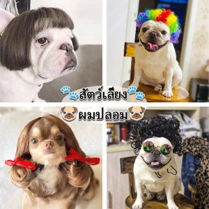 BHQ PET COD ผมปลอม วิกผมสังเคราะห์สําหรับสัตว์เลี้ยงสูงสำหรับสูตรแมว สำหรับสัตว์เลี้ยง และสูตรแมว หมา 200 เบาหวาน