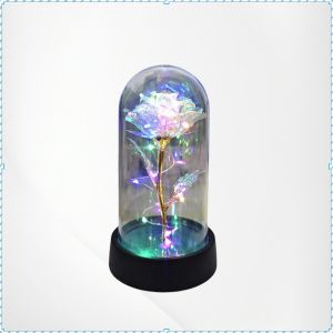 Decorative Lamps Modern Ornamental Lamp Romantic Versatility Stable and Durable Lighting Non-fading