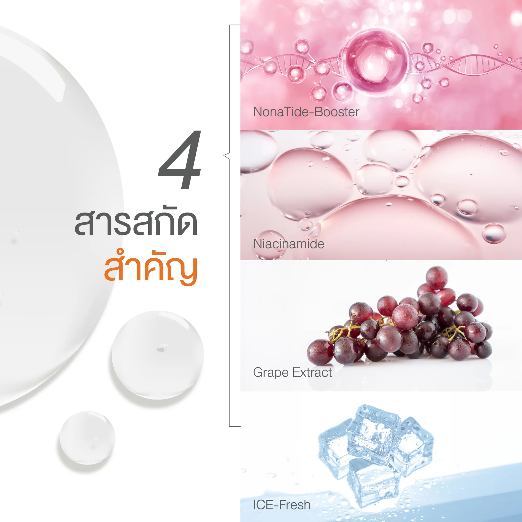 Aqua+ Series Thailand