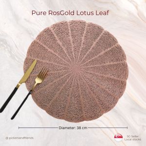 [SG Seller stocks] QUALITY CHECK.Table placemats coasters mats washable heat resistant scratch-resistant BTO find