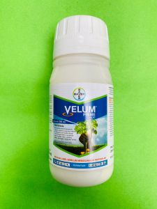 Terbaik!! Nematisida VELUM PRIME 400SC dari BAYER MANTAB