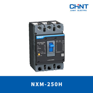 CHINT Thermal Magnetic Fixed Type MCCB NXM-250H