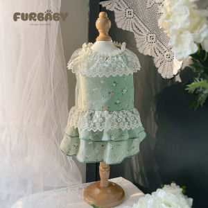Baju Dress Anjing Kucing Hijau Lace Motif Bunga Baju Hewan Motif Lucu