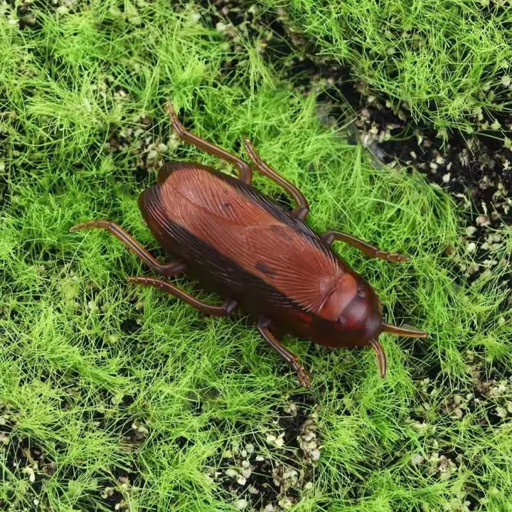 The Moving Cockroach Toy for Ethical Workplace Revenge