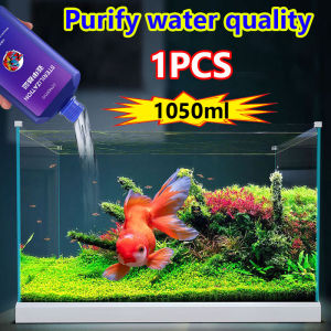 nitrobacteria Purify water quality Water as clear as a mirror nitrifying bacteria Keeping your fish healthy Nitrobacter algae remover 硝化细菌 硝化菌