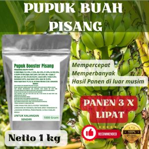 Pupuk Booster Pisang Pelebat Organik Cepat Berbuah Lebat Besar Anti Rontok Pembesar Pisang