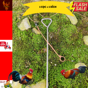 1 cọc Inoc + 1 xích chân gà mồi xích chân gà rừng xích chân gà tre
