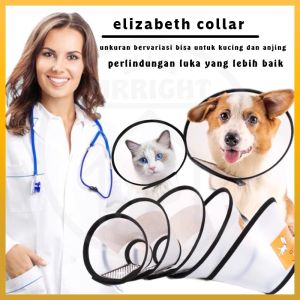 Kerah kucing penutup pelindung corong kucing pelindung leher anjing neck collar collar kucing murah