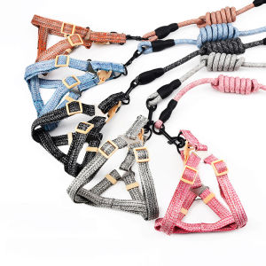 DY รักสุนัขลินินเทียม Ins สไตล์สัตว์เลี้ยงเทียมกลางแจ้งสูทด้วย120เซนติเมตรจูง