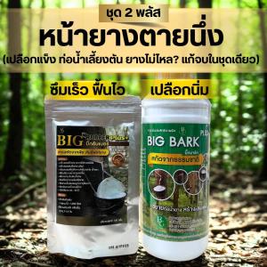 ชุด 2 พลัส | แก้หน้ายางตายนึ่ง เปลือกแข็ง ท่อน้ำเลี้ยงตัน |ฟื้นฟูหน้ายางตายนึ่ง ขยายท่อน้ำยาง สร้างเปลือกใหม่ ราคาพิเศษ 1590 บาท ฟรีส่ง