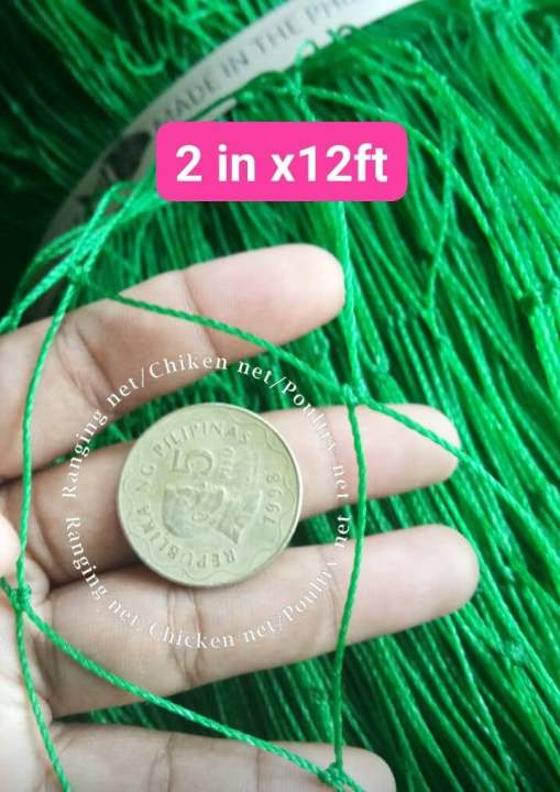 50 meters (2 inch x12ft )-Range net/chicken net/poultry net/fishing net/lambat with free rope and tie