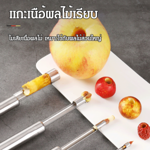 ที่เจาะแกนผลไม้ สแตนเลส พุทราจีนเครื่องคว้านผลไม้สแตนเลส อุปกรณ์เจาะแกนแอปเปิ้ล แกนผลไม้ ตัดผลไม้ เครื่องสกัดแกนผลไม้ ปลอดสารพิษ ใช้งานได้หลากหลาย ทนต่อการกัดกร่อน ทําความสะอาดง่าย