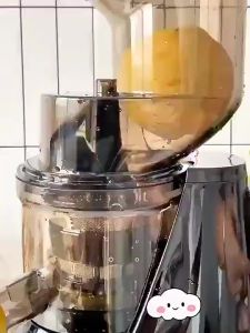 【200W】High Power Electric Juicer Raw Juice Cold Pressing Silent Juicer Fruit Blender For Home