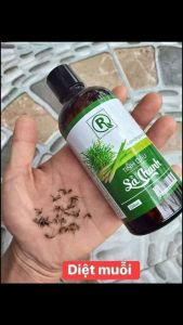 (Tặng 1 chai tinh dầu sả java 10ml) Combo 3 chai tinh dầu sả chanh khử mùi hôi I sát khuẩn (100ml)