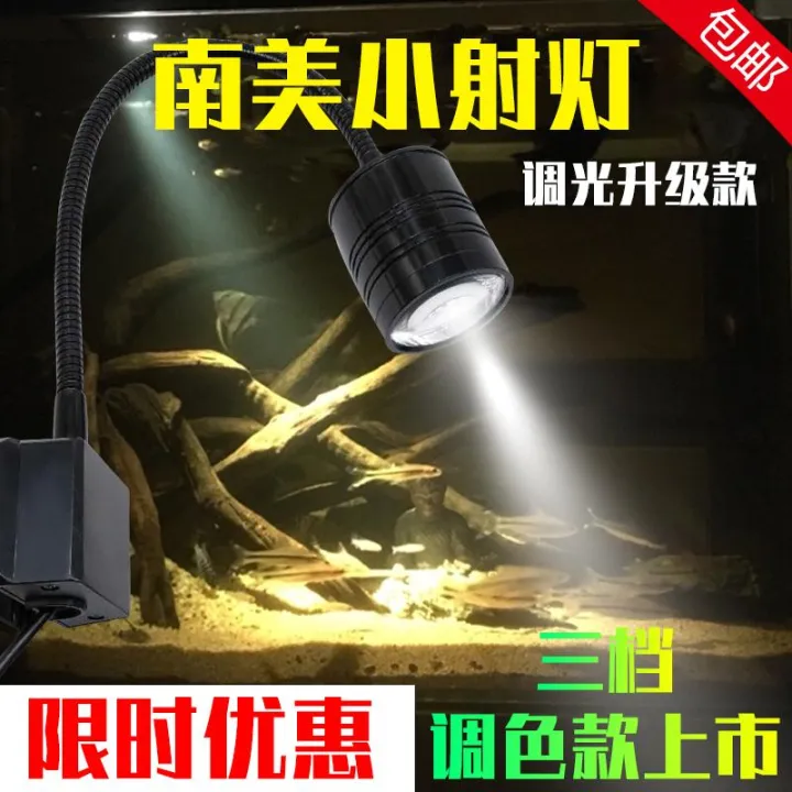 %C4%90%C3%88N%20LED%20SI%C3%8AU%20R%E1%BB%8CI%203W%203%20CH%E1%BA%BE%20%C4%90%E1%BB%98%20M%C3%80U%20-%20%C4%90%C3%88N%20R%E1%BB%8CI%20BIOTOP%20-%20%C4%91%C3%A8n%20r%E1%BB%8Di%20b%E1%BB%83%20c%C3%A1%20-%20biotop%20-%20h%E1%BB%93%20th%E1%BB%A7y%20sinh%20-%20ph%E1%BB%A5%20ki%E1%BB%87n%20c%C3%A1%20c%E1%BA%A3nh%20-%20shopleo%20-%20Image%203