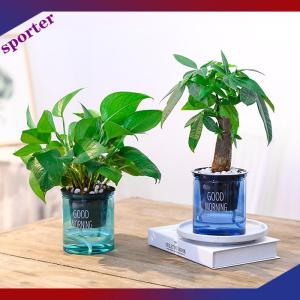 Sporter หม้อดอกไม้โปร่งใส Self-watering พืชดอกไม้หม้อตกแต่งบ้านสวน
