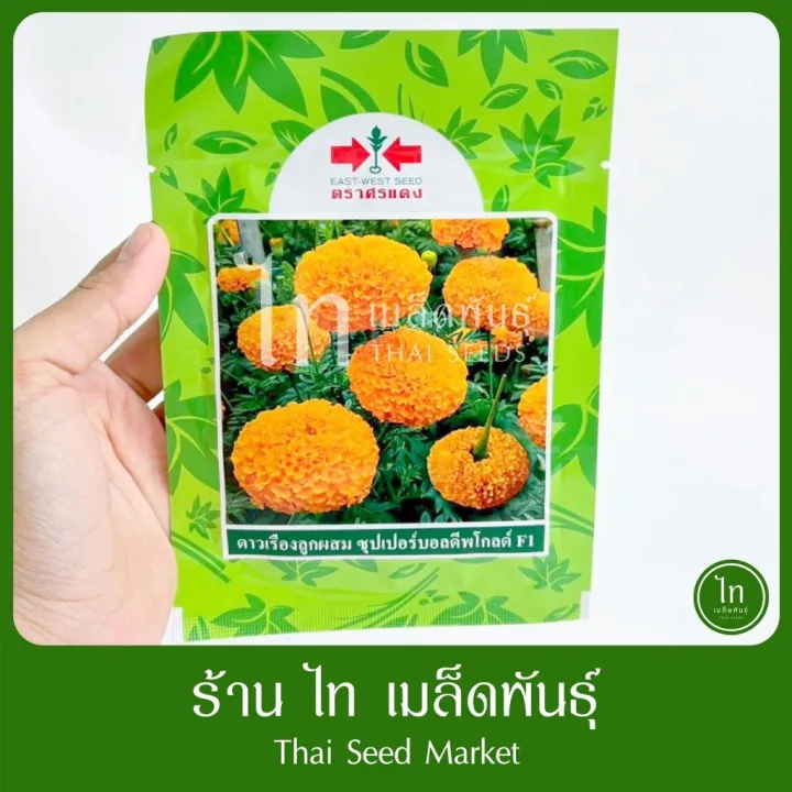 ศรแดง ดาวเรือง ซุปเปอร์บอลดีพโกลด์ F1 1,000 เมล็ด