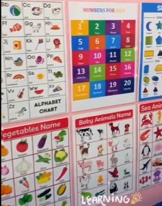 3D Alphabet Flashcards for kids Educational Laminated Flashcards  Posters Charts for kids