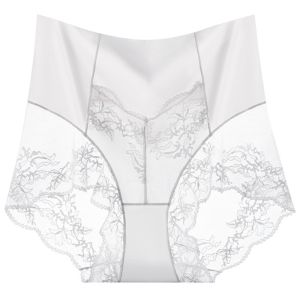 HEALMEYOU Thin Lace Mesh Panties High Waist Sweet Ice Silk Briefs Soft Transparent Seamless Underwear Women Women