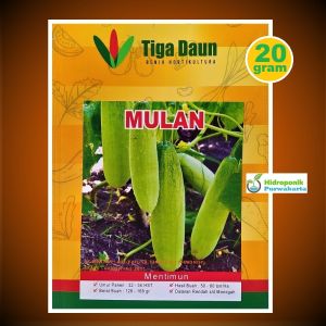 Benih Mentimun Timun Putih Mulan Isi 20 Gram Tipe Lalap Cap Tiga Daun