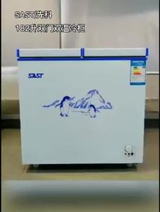 SAST Household Big Freezer Freeze Storage Freezer Horizontal Mini Mini Refrigerator Large Capacity Refrigerator Car Refrigerator