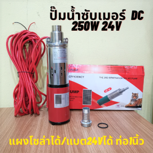 โซล่าเซลล์ : ปั๊มซัมเมอร์ส DC 24V250W ราคาโรงงาน