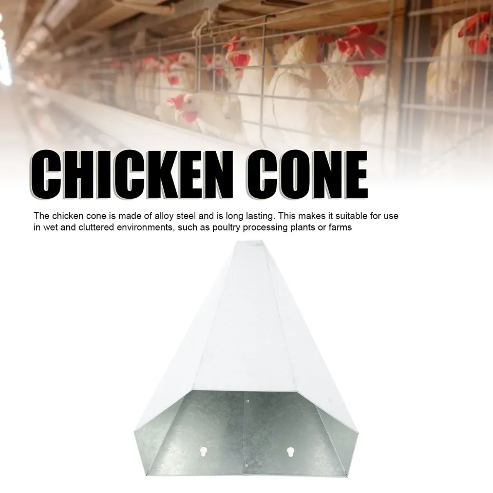 Heavy Duty Galvanized Steel Chicken Killing Cone – Restrains Medium Poultry Up To 8 Lbs, Easy-Clean Funnel Shape
