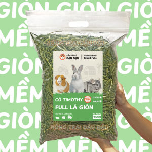 Cỏ Timothy Sấy Lạnh Full Lá Giòn Premium Siêu Xanh Cho Thỏ Bọ Ú Chinchilla 480g