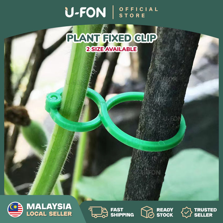 Plant%20Fixed%20Clip%20Garden%20vegetable%20Plant%20Support%20Binding%20Clip%20Plastic%20Fixed%20Clip%20Plant%20Hanging%20Clip%208%20Shape%20Rattan%20Clip%20Garden%20Supplies%20-%20Image%202