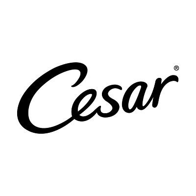 Cesar (ซีซาร์)