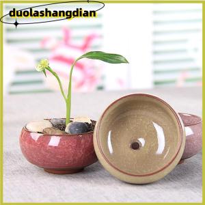 [Duola] Chậu trồng cây mọng nước Gốm Sứ Hoa tráng men dễ thương Chậu cây mini trang trí nhà cửa