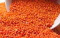 Red Masoor Dal - Đậu Lăng đỏ (1kg). 