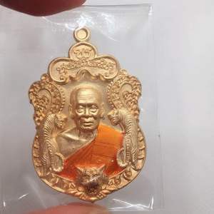 หลวงพ่อพัฒน์ วัดห้วยด้วน เนื้อสัตตะลงจีวร เลข 7689