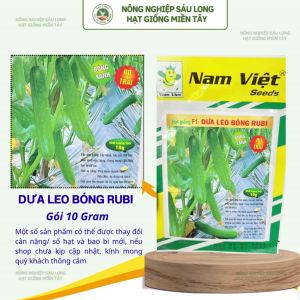 Hạt Giống F1 Dưa Leo Bóng Rubi Nam Việt – Bóng Xanh Rộ Trái Trái Dài 18–20cm – Gói 10g
