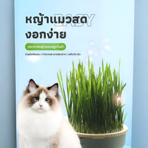 หญ้าแมวที่จําเป็นสําหรับการเลี้ยงแมว ถ้วยหญ้าไฮโดรโปนิกส์ปลูกสําหรับคนขี้เกียจ  ถาดปลูก ถาดหญ้าแมว ถ้วยหญ้าแมว มัลติฟังก์ชั่น อ่างถูน้ำ ทําความสะอาดช่องปาก เลี้ยงแมว